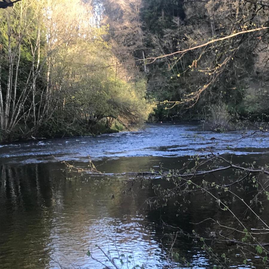 Tom's Retreat * Builth Wells